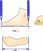 We learn to determine the Russian shoe size in cm 23 25 cm what size