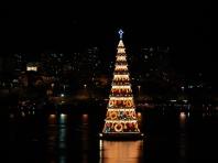 Ali veste, koliko metrov je bilo visoko najvišje božično drevo na svetu?